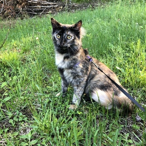 Fundraising Page: Lucy Johnson